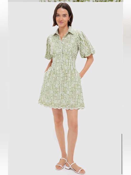 Tuckernuck Dresses & Skirts - Tuckernuck Embroidered Floral Green Gingham Mini Delaney Dress Size Medium